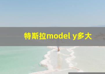 特斯拉model y多大